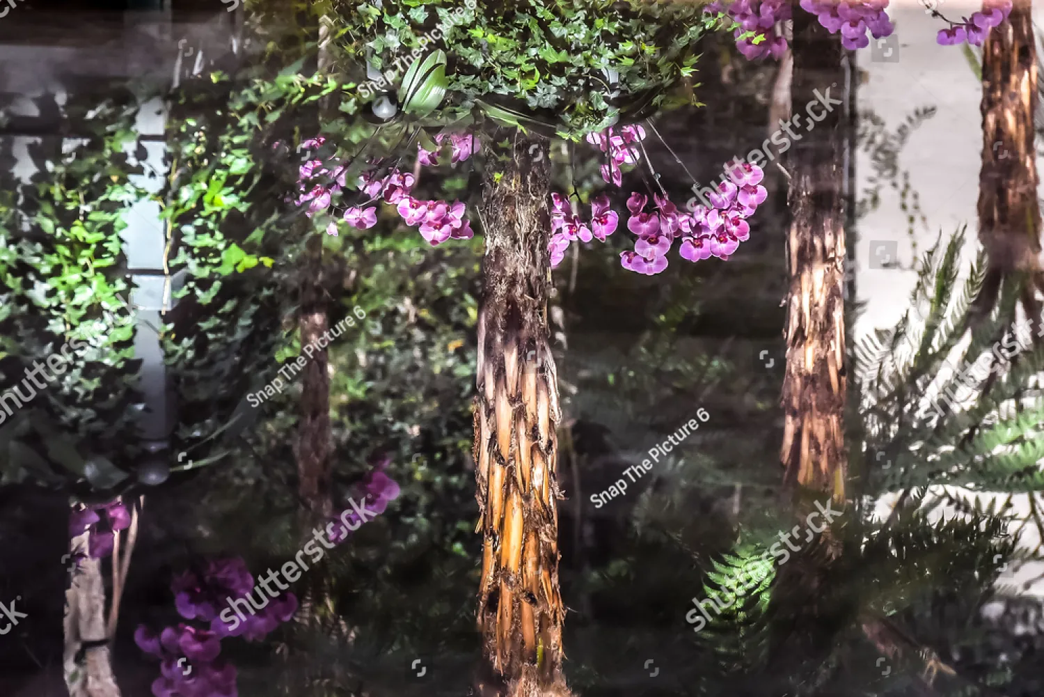 Pink trees beside a stream